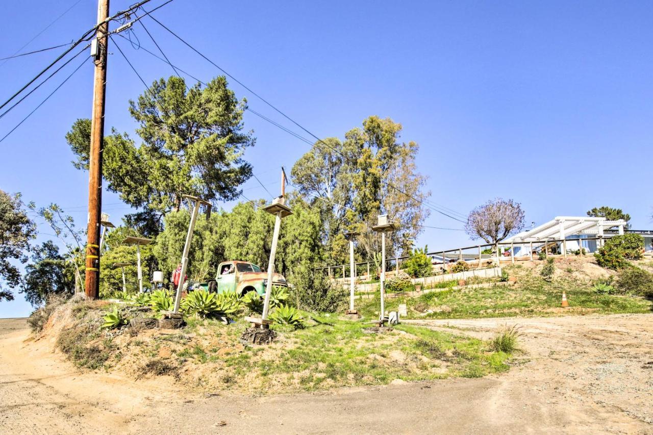 Sunny Bonita Studio About 5 Mi To Historic Dtwn! Ngoại thất bức ảnh