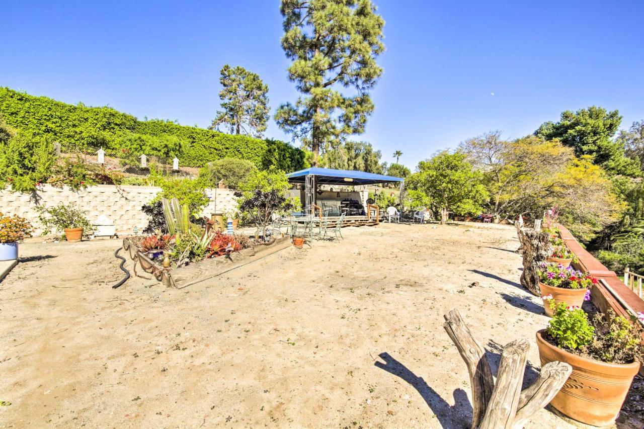 Sunny Bonita Studio About 5 Mi To Historic Dtwn! Ngoại thất bức ảnh